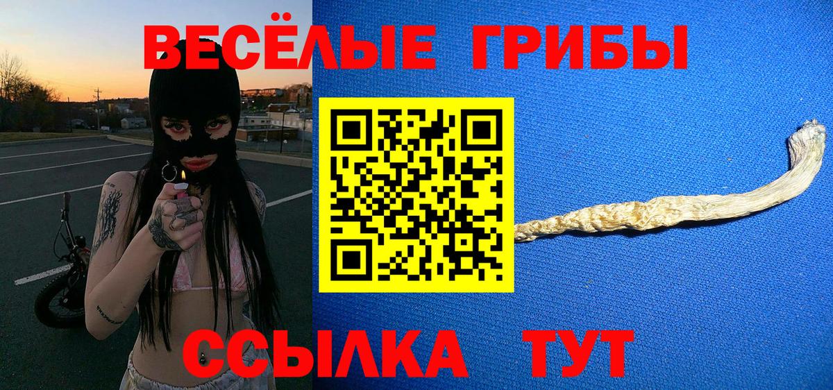 Псилоцибиновые грибы мухоморы  Вход с VPN  Мончегорск 