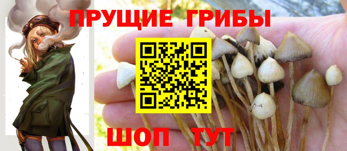 Псилоцибиновые грибы MAGIC MUSHROOMS Мончегорск