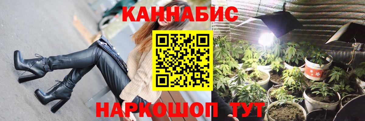 Каннабис сатива  Вход с VPN  Бошки Шишки марихуана  Мончегорск 